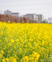 �ĵ�����ף�̨������220Ķ�Ͳ˻�������Ȧ