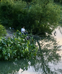 ΪʲôŮ����Խ��Խ��