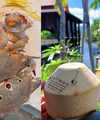 ���ϵ��������Ǻ�