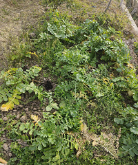 ����ͷ͵�˵��˻���ô��İ���