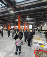 ̨���н����涼С��Ͷ���ڼ�������ɲ���