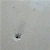 �����¥����