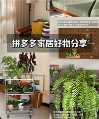 �ͳɱ�����С��