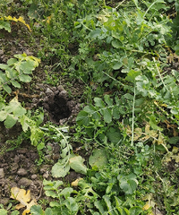 ����ͷ͵�˵��˻���ô��