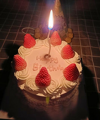 ���ڵĵ��������Ĺ���Ӣ��ģ�СС��һ������������