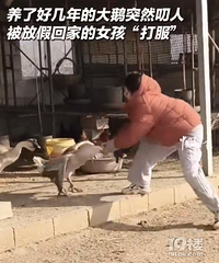 Ů��ι�����ͻϮ������