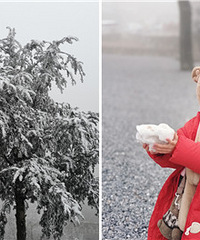 ���»���ѩ