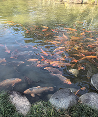 ̨��ȥ���ݵĸ����Ѿ��³ɹ���