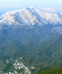 �񳿸��䣡�㽭���ܽ���������������ȯ���������ֱ��27��C