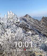 �ٸڼ����ɽ��Ψ����ڡ �����и�������������