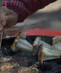 �ٺ��½�·��÷����