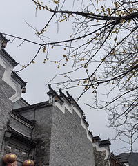 ����������������������ǲ��ڸ�����ɽ���ʫ��