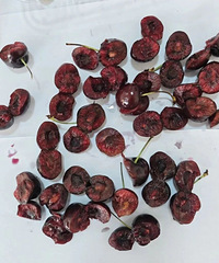 ���¿���ļ���ȫ�����ã����۸���ն�����ڸ�Ҳ���ˣ������²�