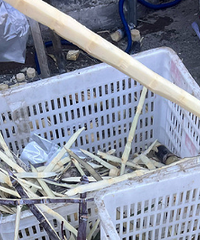 ˮ��������������ͦ�˷ѵ�