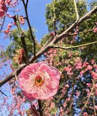 �������ķ羰Ҳ�Ǳ��з�ζ