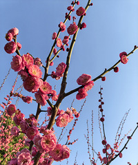 �������ķ羰Ҳ�Ǳ��з�ζ