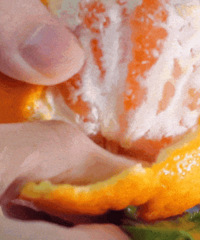 ��p��p���̡����ǡ�b��b���̡����������������顭