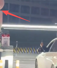 ����˾����������