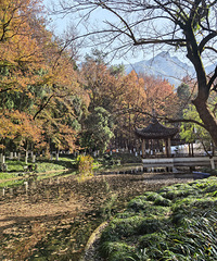 92��������173-60�������ˣ���Ҫ���Χ����Ϊ��