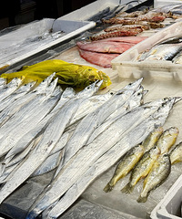 �۸�����20%�����ɻ𱬣�̨�����г�һ����800��