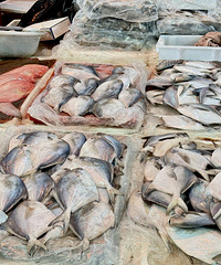 �۸�����20%�����ɻ𱬣�̨�����г�һ����800��