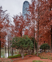 ��ͺϹ�԰����ɽ��԰�������˲��ࡣ��԰�ܸɾ�