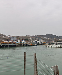 ��µ���Ȼһ��yyds