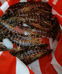 �����ˣ�̨�ݺö�����û����ȥ�ˣ�����ȫ��������ҪǮһ��