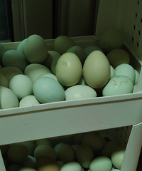 �����˼���