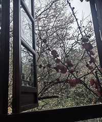 �͹���һ����÷��Ư���裬Ư������