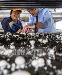 ��Ԫ�󵥣�������ҵ�����ˣ�