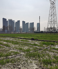 �ĺ�����Ա���ô��Ƭ����ͷ�Ǹ����