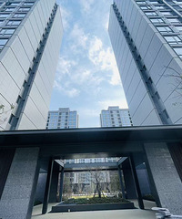 �ƺ縮 (������բ)  ���÷� ��ͼ���� ��26�����³�����