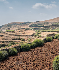 ӿȪ������ƺͷ��ɫ