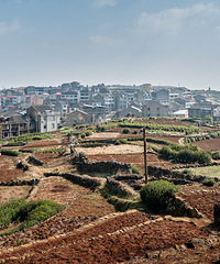 ӿȪ������ƺͷ��ɫ