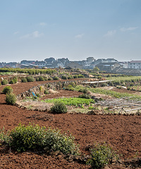 ӿȪ������ƺͷ��ɫ