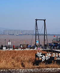 �ͱ�����̬ʱ���ߺ�ɫ���¿���