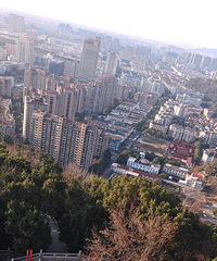 ��΢����ûɶ�ˣ������غ�