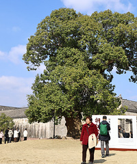 �ɾ�ͩ����Ժ�������漣�Ҷ����񻹱�����