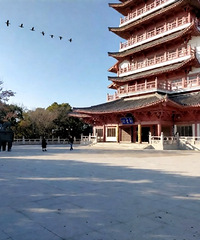 �����ɣ��ٰ��Ƹ�(�������Ứ������������)