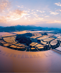 ̨��2����ѡ��2025��ȳ����ǵ�����Ʒ����������Ŀ����