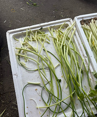 ��Ҫ�����߲˱��ˣ���о27Ԫһ������15Ԫ