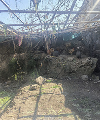 [���]��ϲ���˼��˵ĵط�����Ů��ȥ��������԰����