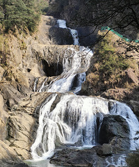 �����T����