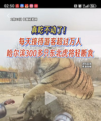 ���������˶�