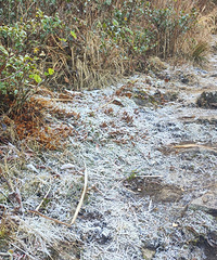 һ��һ������