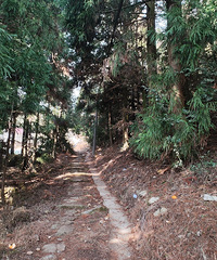 һ��һ������