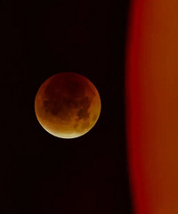 ̨���˴����ٵ�46�꣬����Ԫ���ڽ��С���Ϸ����