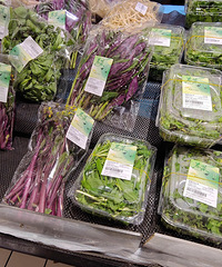 �۸�һ·�µ���̨���˰��Ե���ںܳ�����������˾ŵ�������ˡ�