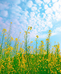 һ��̨��վ���ͱ������ˣ�